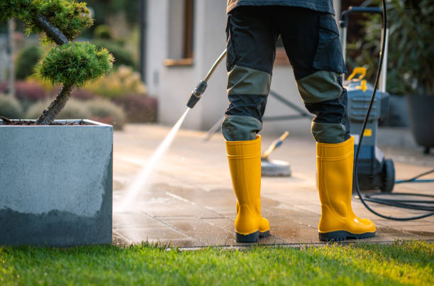 Best Affordable Pressure Washing  in Staples, CT